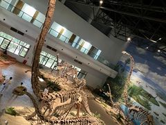 -自贡恐龙博物馆