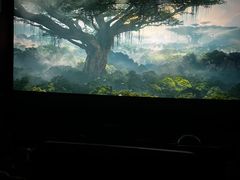 -悦江新远影城IMAX