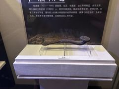 -李香君故居陈列馆