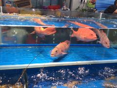 水产区-大东海海鲜酒楼(渔人码头总店)