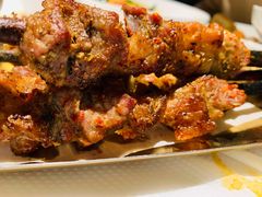 红柳木羊肉串-西域阿里马新疆菜·清真(桂花路店)