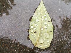 -西京医院