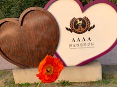 -铁山坪森林公园