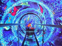 -梵高星空艺术馆(北京旗舰店)