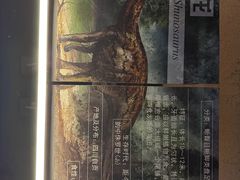 -中国西峡恐龙遗迹园