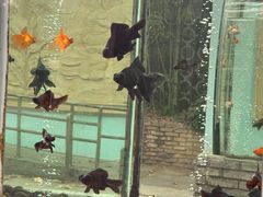 -上海动物园(地铁站)