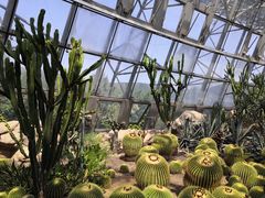 -北京植物园-展览温室