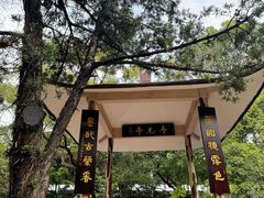 -广州兰圃