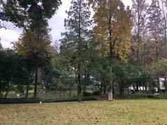-杭州花家山庄