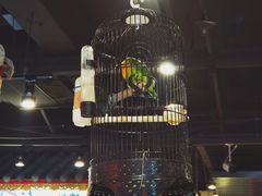 -清真·京华源铜锅涮肉(丰庆店)