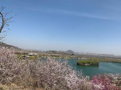-樱花山风景区