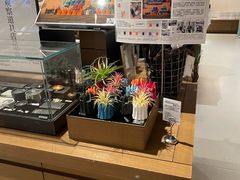 -茑屋书店(天目里店)