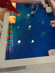 -万达宝贝王(太原龙湖店)