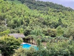 -看见远方·莫干遥远的山民宿