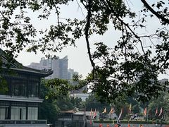 -荔湾湖公园