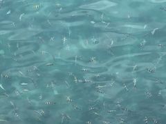 -亚龙湾海底世界