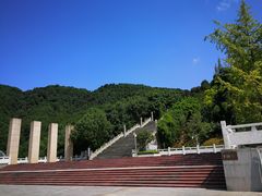 -铁山坪森林公园