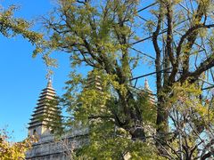 -北京石刻艺术博物馆(五塔寺)