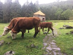 -硗碛藏寨·神木垒景区