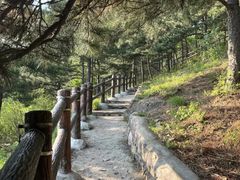 -北京十三陵国家森林公园蟒山景区