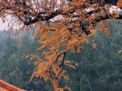 -四门塔风景区