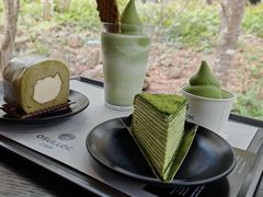 -雪绿茶博物馆