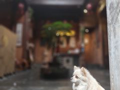 -上坦村