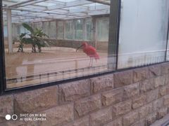 -辛玛王国游乐园