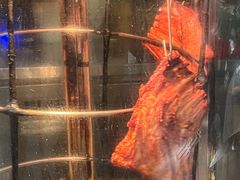 -霄汉羊排(万松园一店)