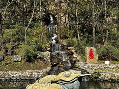-大连天门山国家森林公园