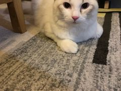 -福田体育公园