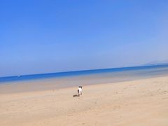 -养马岛旅游度假区