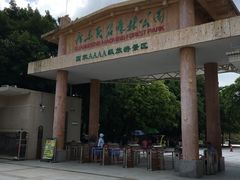 -广东茂名森林公园