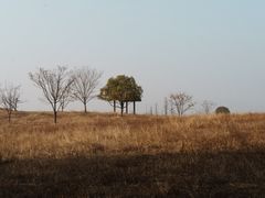 -良渚古城遗址公园