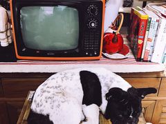 -小时光咖啡馆(北锣鼓巷店)