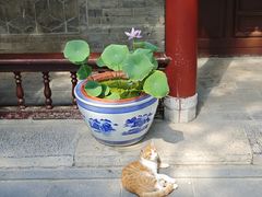 -万寿八仙宫