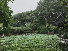 -上海醉白池公园
