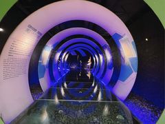 -大同煤炭博物馆