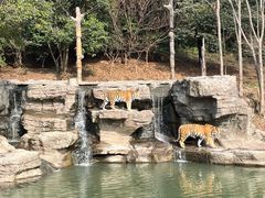 -宁波野生动物园
