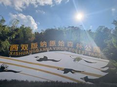 -西双版纳原始森林公园
