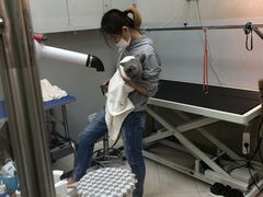 -PETKIT 小佩宠物·低压洗护·美容·寄养(安远店)