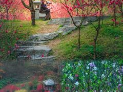 -桃花涧