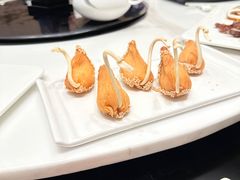 -大连星海皇冠假日酒店