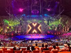 -广州长隆国际大马戏