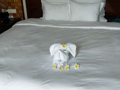 -三亚亚龙湾雅高铂尔曼别墅度假酒店