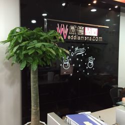 -威德钻石-克拉钻大本营(南京东路店)