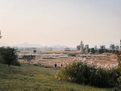 -良渚古城遗址公园