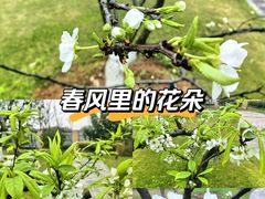 -龙头寺公园