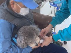 -欧奕国际动物医院