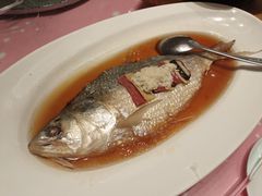 清蒸鲥鱼-宝燕壹号(徐汇店)